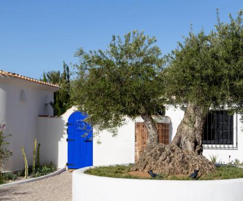 المنظر الخارجي, Design Villa with Private Pool in Montgo de Toscamar