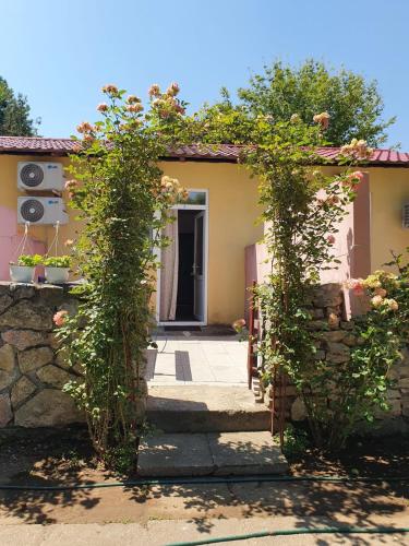 La Dijmasu La Dijmasu