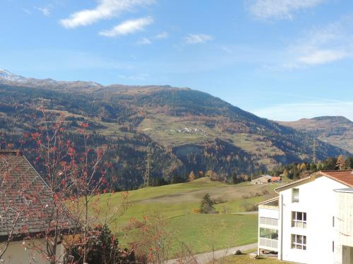 周邊環境, Haus Liaun 2 in 布里恩茨倫策海德