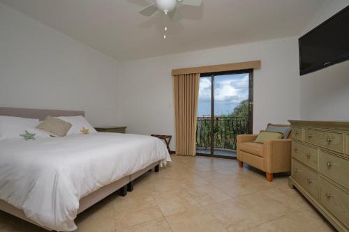3 minutes from best beaches in Aruba! Luxury Tropical Townhouse at Gold Coast Aruba - image 5