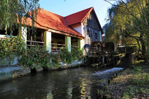 Accommodation in Orăştioara de Sus