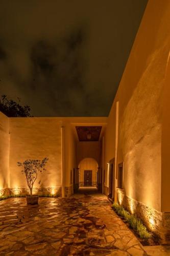 Coliving en centro San Luis Potosi in San Luis Potosí, Mexico