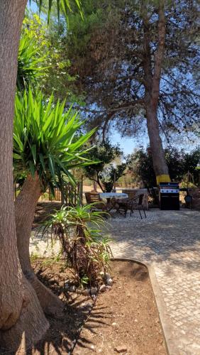 Garden, Chalet Villa Mosquito in Vale da Lama