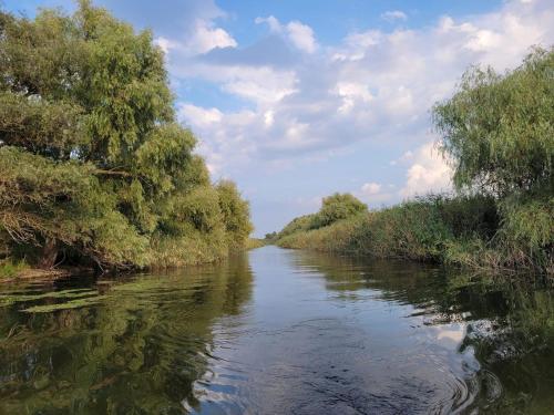 Casa de Vacanta Simfonia Apelor in 多瑙瓦圖爾德喬斯