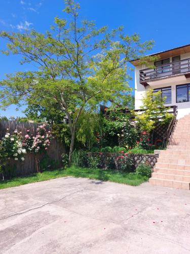 Casa de Vacanta Simfonia Apelor in 多瑙瓦圖爾德喬斯