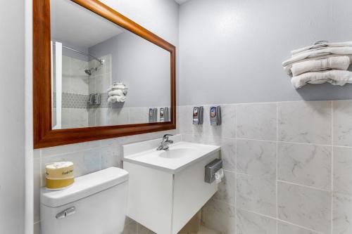 Americas Best Value Inn Belleville - 샤워실