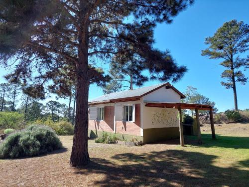 Espejo de Hadas - Terrafirme