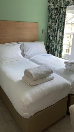 Marldon Olympia Hotel - image 3