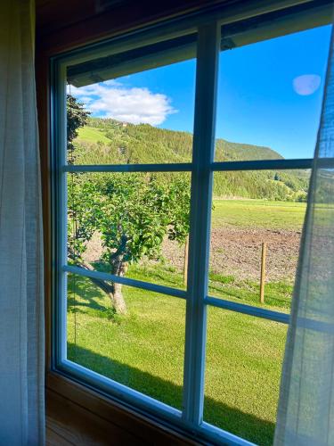 Сад, Villa Soltun in Рынгебу