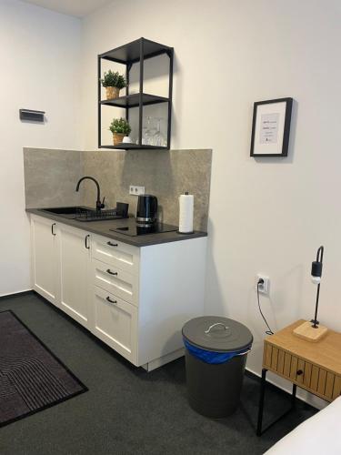 บริการและสิ่งอำนวยความสะดวก, Apartmány Hrázní (Apartmany Hrazni) in คนินิชคี