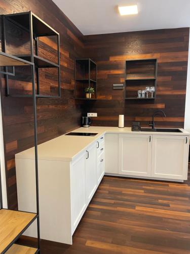 ห้องครัว, Apartmány Hrázní (Apartmany Hrazni) in คนินิชคี