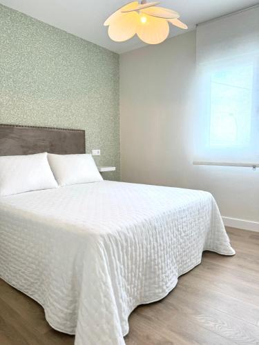 Aires de Lavanda Aires de Lavanda