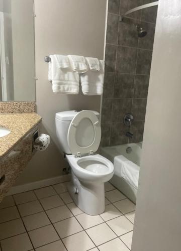 APM Inn & Suites - image 10