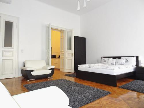 Erzsebet Boulevard Apartment - image 11