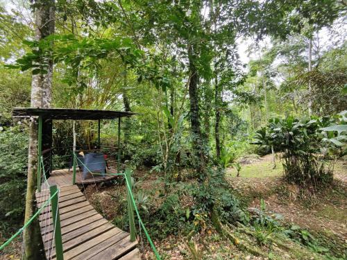 สภาพแวดล้อมโดยรอบ, Toucan Hideout with Plunge Pool in ปุนตาโกเกลส