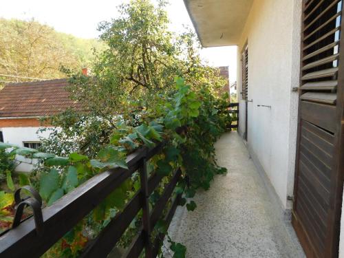 Apartmani Ceca Blaznava in Topola