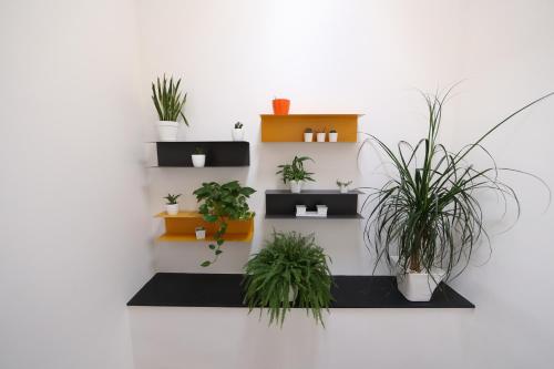 Casa Zafarani gîte à louer Marina di Ragusa