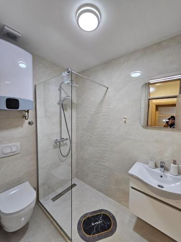 Apartments Radosavovic