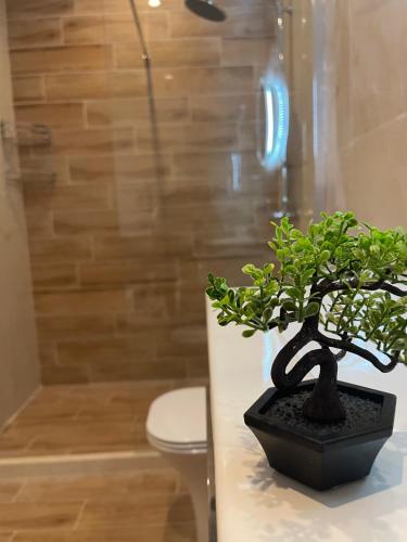 Port Suite Port Suite