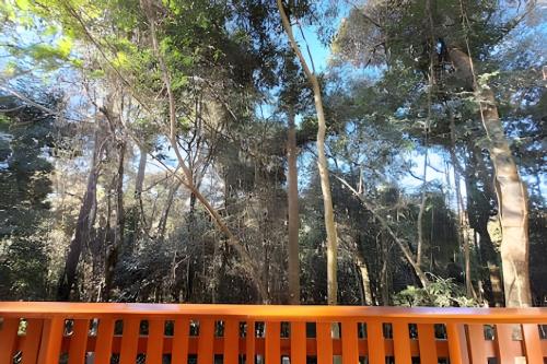 Chalé Dália - Recanto Veky - image 13