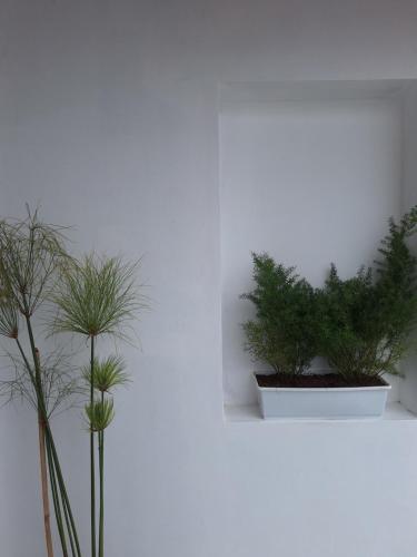 Casa Alba in San Salvador De Jujuy