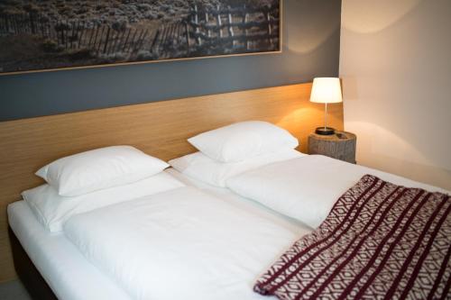 Piltriquitron Lodging Room Type - Classic Double Room with Shower