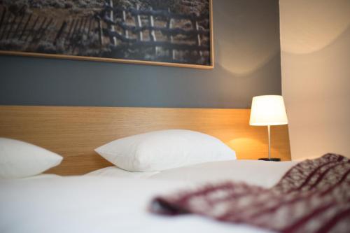 Piltriquitron Lodging
