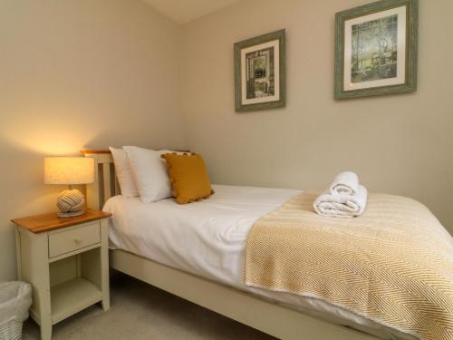 Swallow Cottage Ilfracombe - image 11