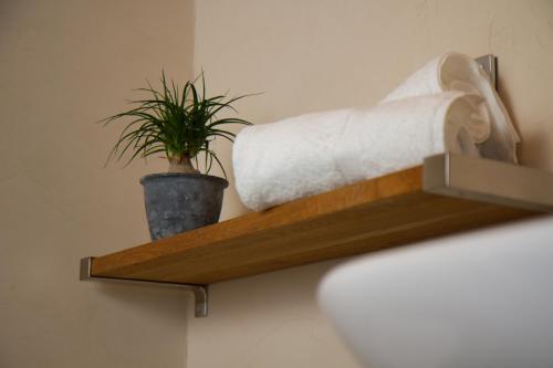 Piltriquitron Lodging