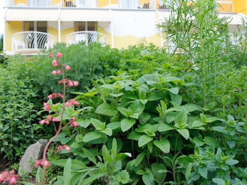 Das Moser - Hotel Garni am See (Adults Only)