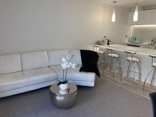 Two Bedroom Guest House in Remuera Auckland, Auckland (photo 8)