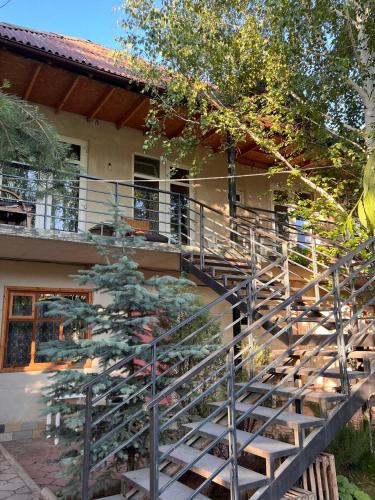 Podsolnukhi Guest House in Chetkoysu