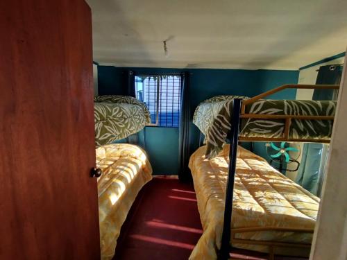 Mixed Dormitory Room