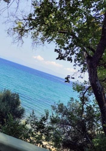 Endless Blue Garden Villa - Location, gîte - PalaiónTsiflíkion