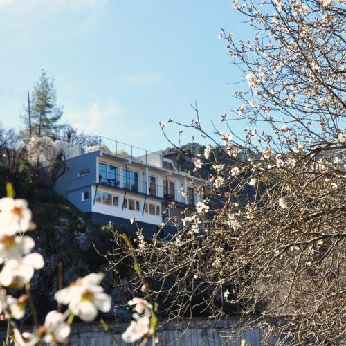 外部景觀, THE CLIFF ALONA in 阿格羅斯