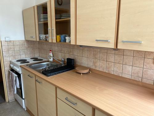 Apartmán Pod Studenou Horou (Apartman Pod Studenou Horou) in Ροκίτνιτσε ναντ Ζιζέρου