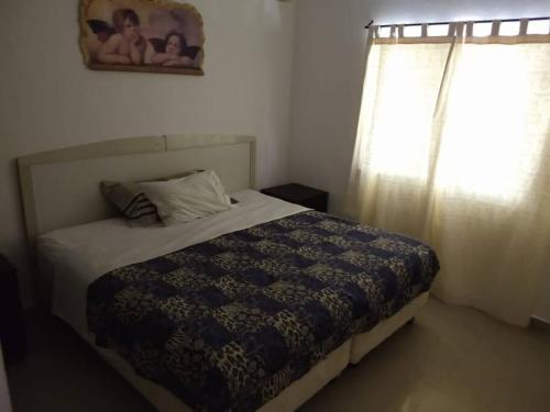 La casa delfines, Cancún (photo 8)