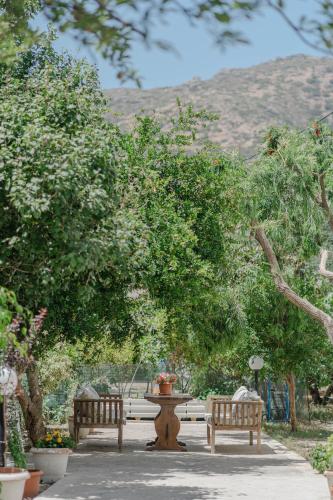 Garden, Manos Studios in Pelekanos