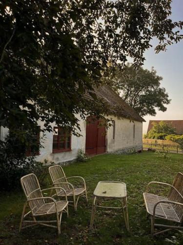 Farmhouse in historic village in Österlen (Farmhouse in historic village in Osterlen) in Glemmingebro