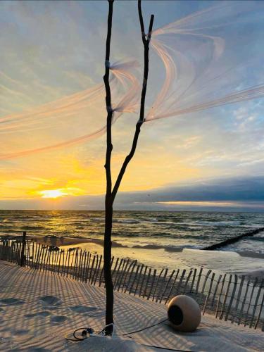Schwalbennest, Zingst (fotografie 4)
