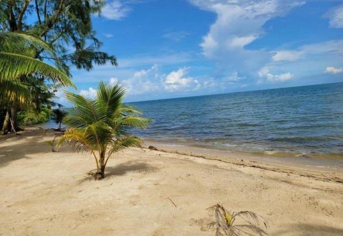 plaža, Beach House in Caribbean Way