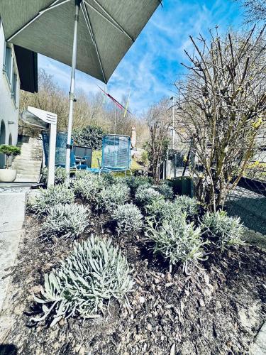 Bed and Breakfast Olten - image 4