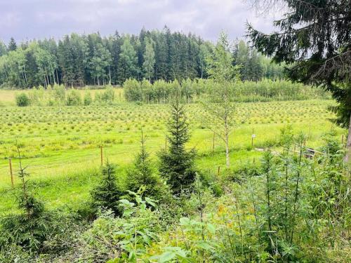 Surrounding environment, Maatilamajoitusta marjatilalla in Siuntio