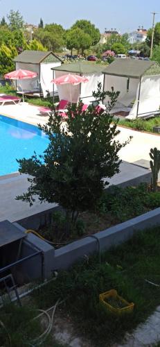 Side Alya Hotel - image 5