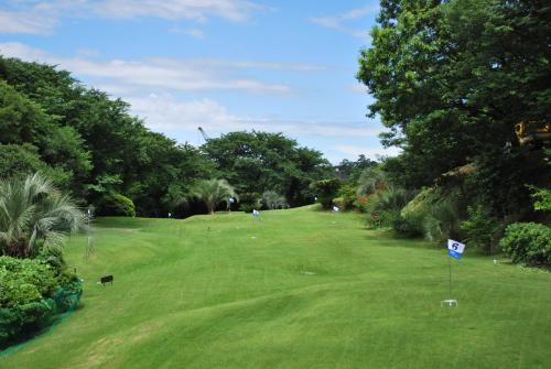 小型高爾夫球場