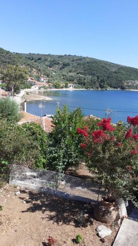 View apartment chambre d'hôte Argalastí