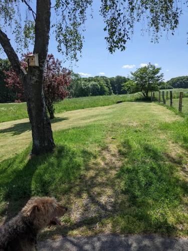 Auszeit Altenhorst, Bauernhaus Auszeit Altenhorst, Bauernhaus