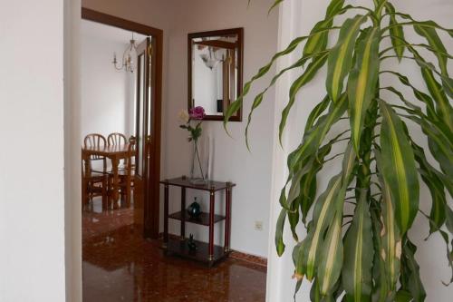 Casa Soleada Calle Tranquila Junto a FIBES, Sevilla (Foto 10)