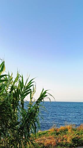 LA TERRAZZA SUL MARE camera fronte mare&vicino aereoporto SICILIAN VINTAGE STYLE SEASIDE ROOM LA TERRAZZA SUL MARE camera fronte mare&vicino aereoporto SICILIAN VINTAGE STYLE SEASIDE ROOM