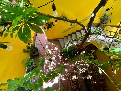 Chủ Nhật Cafe&Homestay Quán Thánh (cơ sở 3)